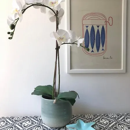 La Casa Del Principe Appartamento