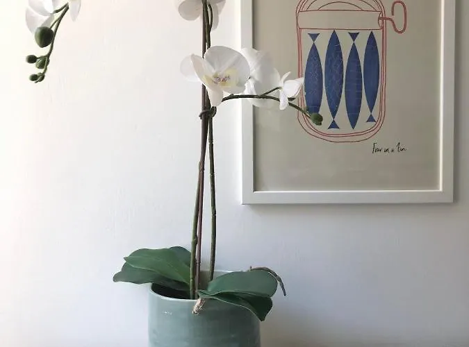 La Casa Del Principe Apartamento